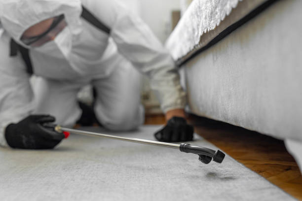 Professional Ant Control technician working in Garden City Park, NY
